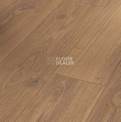 Ламинат Parador Classic 1050 4V 1744697 Дуб Studioline Мед фото 1 | FLOORDEALER